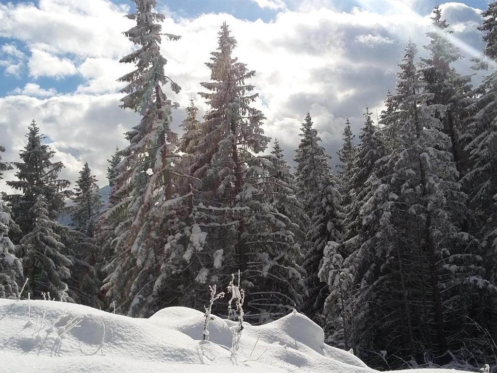ลันด์โฮเทล อุน กาสท์โฮฟ เคียร์ชแบร์เกอร์ Hotel Wildsteig ภายนอก รูปภาพ